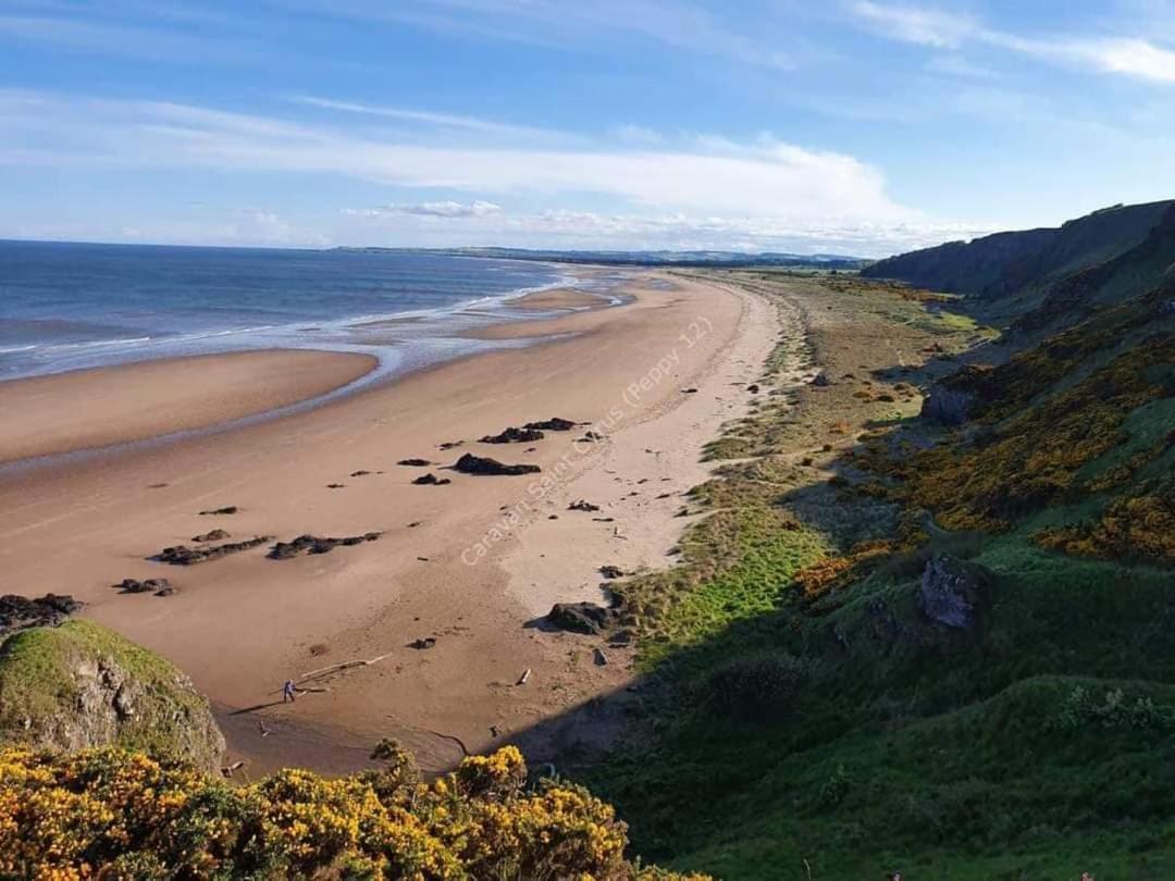 Wrights Retreat 4 Lunan View St Cyrus Caravan Park Saint Cyrus Exteriör bild